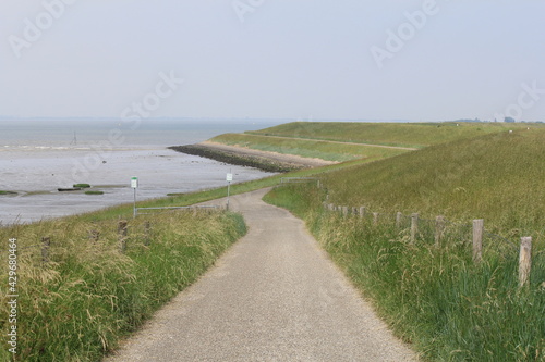 a road at a dike crossing at the westerschelde sea at the dutch coast in zeeland in springtime