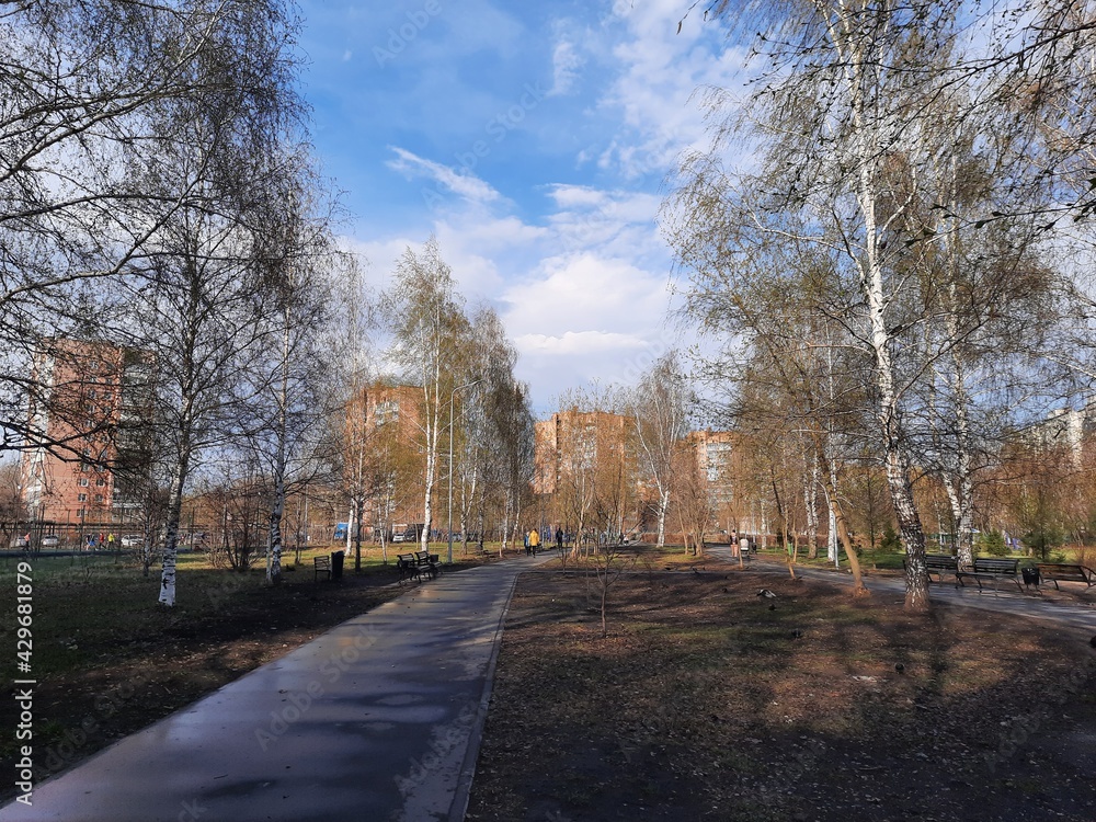 autumn in the park autumn in the park