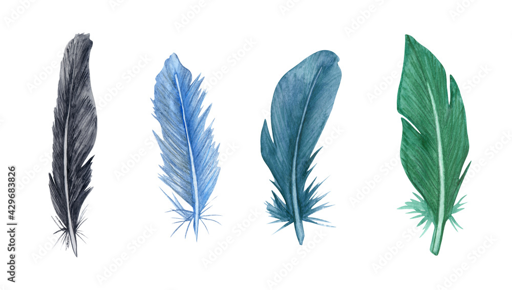 Watercolor feather set. Hand drawn bird feathers clipart. Watercolor feather set. Hand drawn bird feathers clipart.