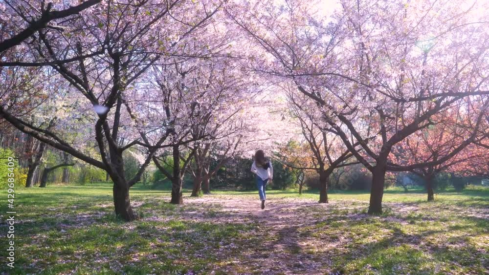 Young woman with long hair enjoys spring garden in bloom. Happy girl running in Japanese Garden with blooming trees. Slow motion girl playfully running throug blossoms sakura. Soft Focus. Dreamy Light Young woman with long hair enjoys spring garden in bloom. Happy girl running in Japanese Garden with blooming trees. Slow motion girl playfully running throug blossoms sakura. Soft Focus. Dreamy Light