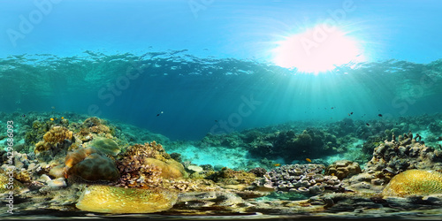 Colourful tropical coral reef. Hard and soft corals, underwater landscape. Philippines. Virtual Reality 360.