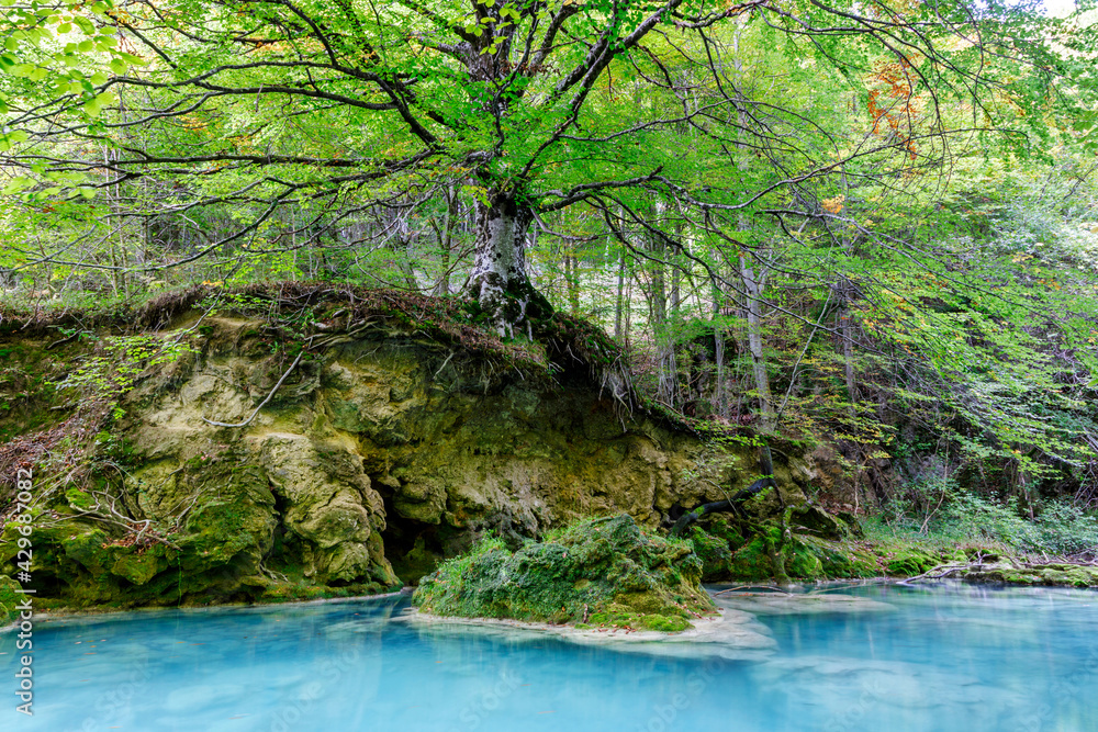 Fototapeta premium Urederra river in Amescoa Valley, Navarra, Spain.