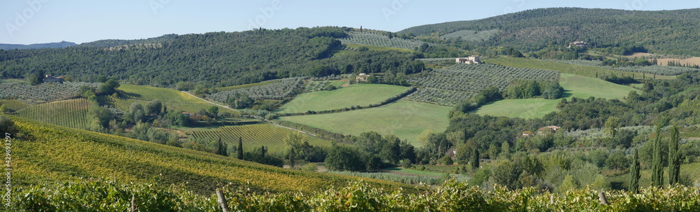 Panorama of the countryside and olive groves around San Gimignano Panorama of the countryside and olive groves around San Gimignano