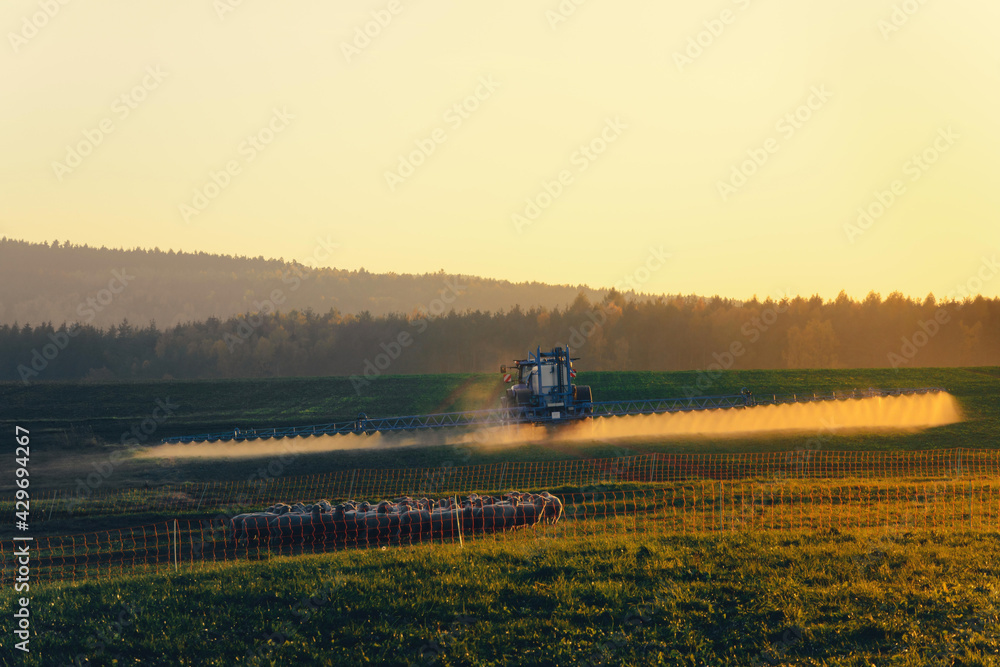 Fototapeta premium Farming spraying his pastures or crop in golden light