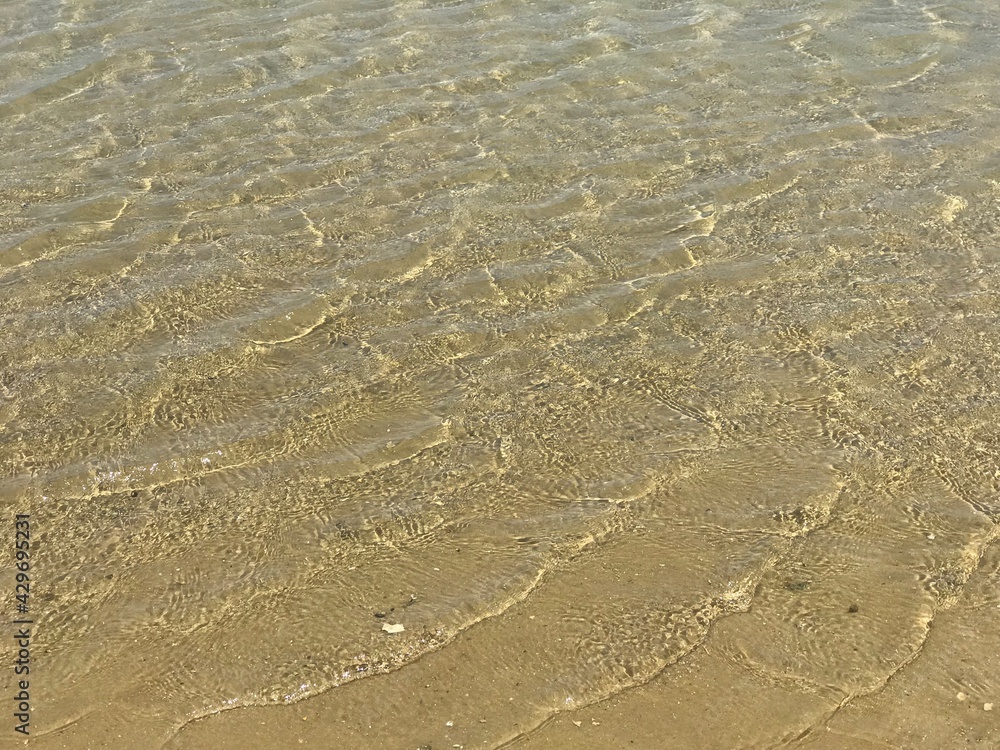 Fototapeta premium sand on the beach