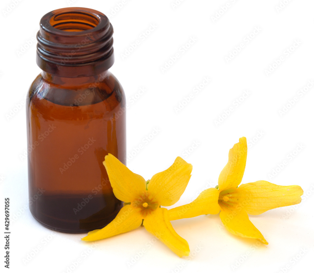 Forsythia with essential oil Forsythia with essential oil