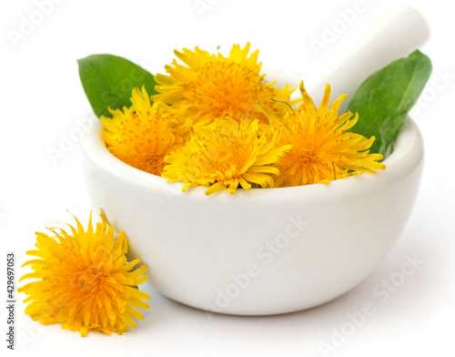 Medicinal dandelion with mortar and pestle photo