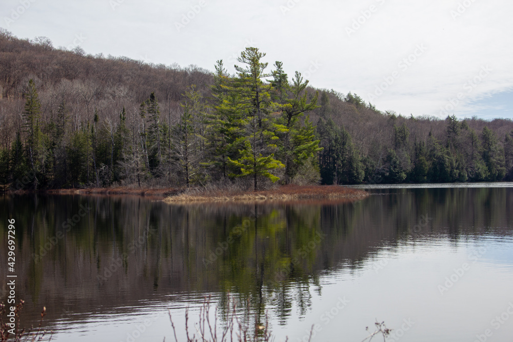 Obraz premium Small island with trees in the middle of a lake