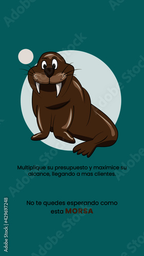 morsa