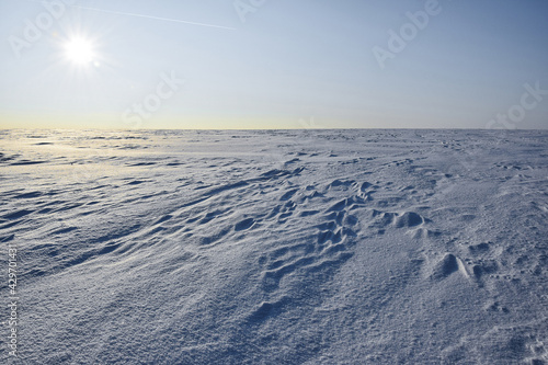 Photo of a snow-covered field in the rays of the setting sun