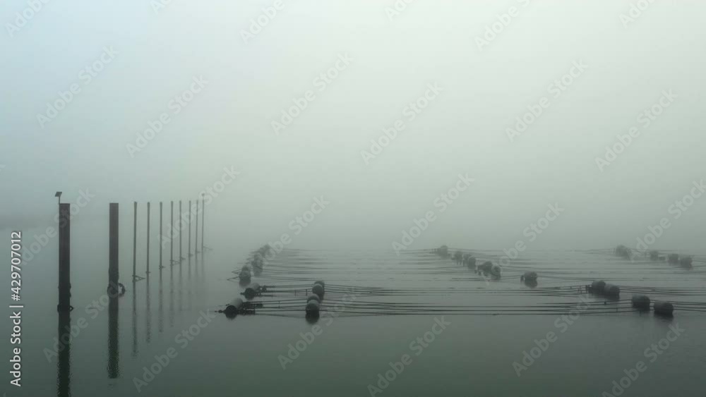 Fishing nets and wooden posts in sea, Vrouwenpolder, Netherlands Fishing nets and wooden posts in sea, Vrouwenpolder, Netherlands