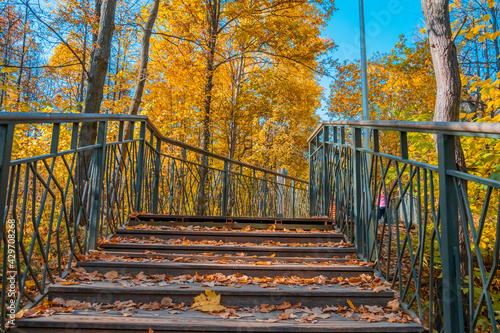 Climbing stairs in an autumn city park