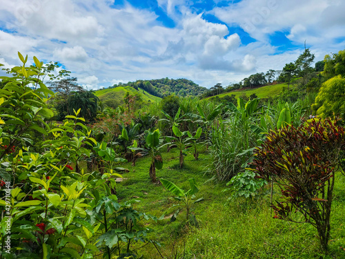Costa Rican rural farm