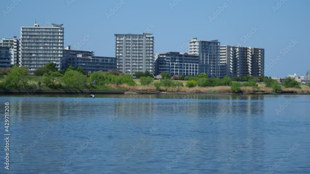 朝日が当たる水面ぎりぎりを右から左に移動する野鳥 朝日が当たる水面ぎりぎりを右から左に移動する野鳥