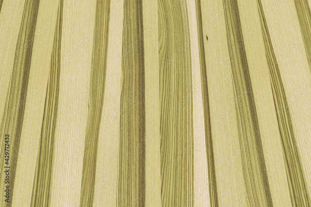 ash-tree wooden background texture structure backdrop ash-tree wooden background texture structure backdrop