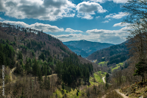 The road leading to the mountains, Germany, Black forest