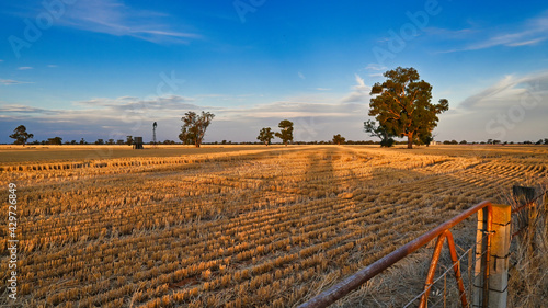 Late Afternoon View Over Farm Gate photo