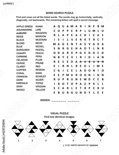 Puzzle page with two brain games: color names and properties themed word search puzzle (English language), and visual puzzle. Black and white, A4 or letter sized. Answer included.
