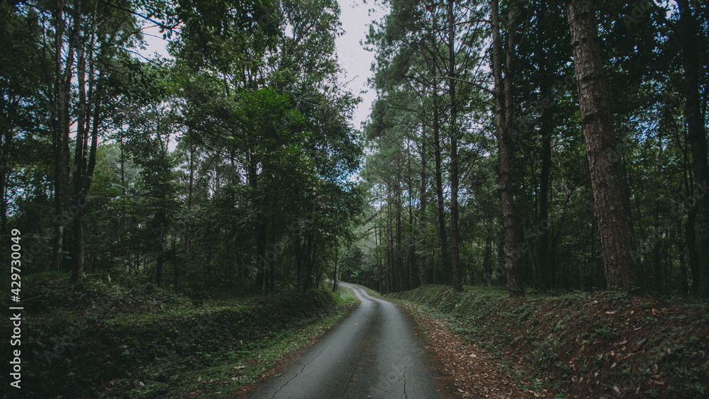 Fototapeta premium travel