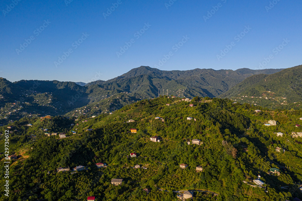 mountains, forest, houses view from the drone