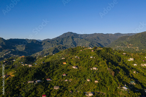 mountains, forest, houses view from the drone © Dmitrii