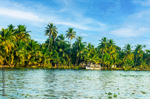 Backwaters  Kerala  Alappuzha