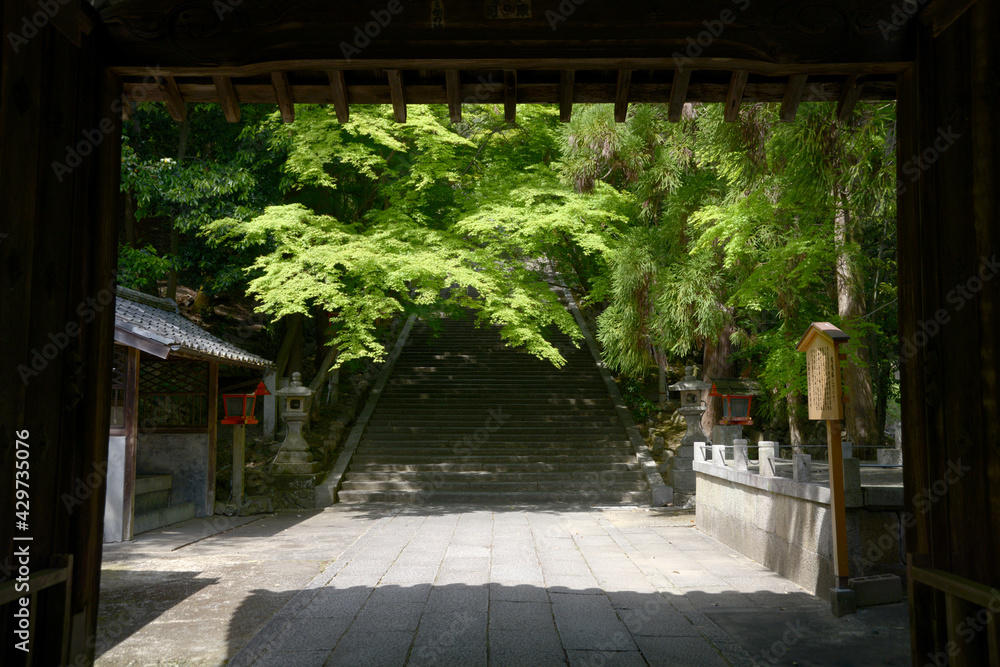 法輪寺 山門から新緑の参道を望む 京都市嵐山 法輪寺 山門から新緑の参道を望む 京都市嵐山