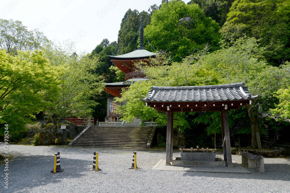法輪寺　手水舎と多宝塔　京都市嵐山