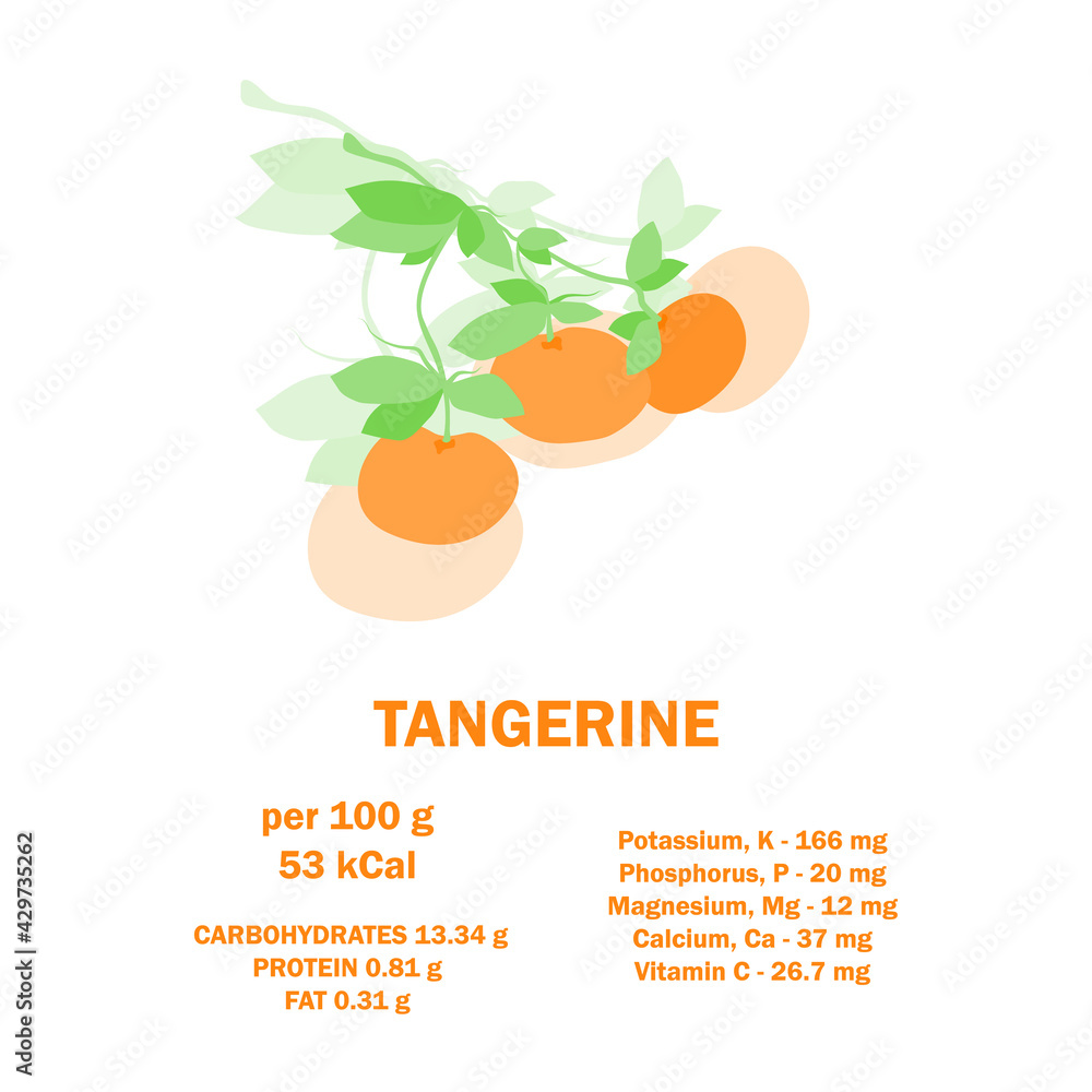Infographic card about calories of tangerine 100g. Vitamins, minerals and calorie content