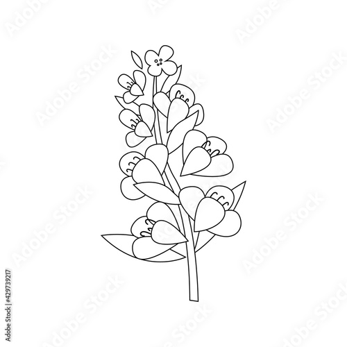 Hand-drawn doodle rapeseed flower. Blooming branch for postcards, logos. Flat style. Cartoon vector canola plant. All elements are isolated. Cute design for your project.