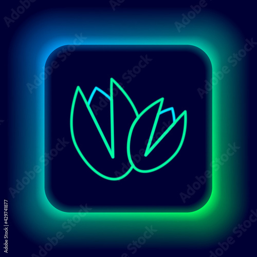 Glowing neon line Pistachio nuts icon isolated on black background. Colorful outline concept. Vector