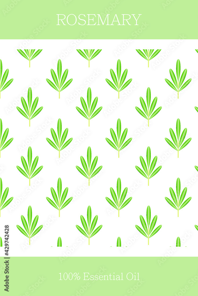 Essential oil banner or label. Rosemary essential oil. Scalable rosemary pattern. Cosmetics packaging design. Template on the theme of aromatherapy.