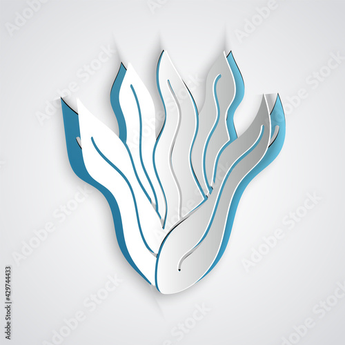 Paper cut Seaweed icon isolated on grey background. Underwater seaweed spirulina, aquatic marine algae plant. Vegan and vegetarian food. Paper art style. Vector.