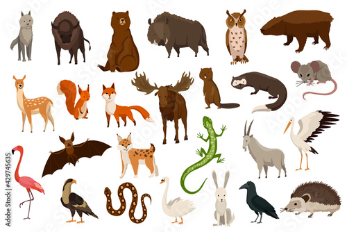 Animals of europe. Nature fauna collection. Geographical local fauna. Mammals living on continent. Vector illustration in kids style