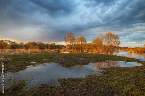 Rural landscape with a river. Trees, bushes and the ground are illuminated by the rays of the setting sun. The sky is covered with clouds. Lead clouds are reflected in the water.