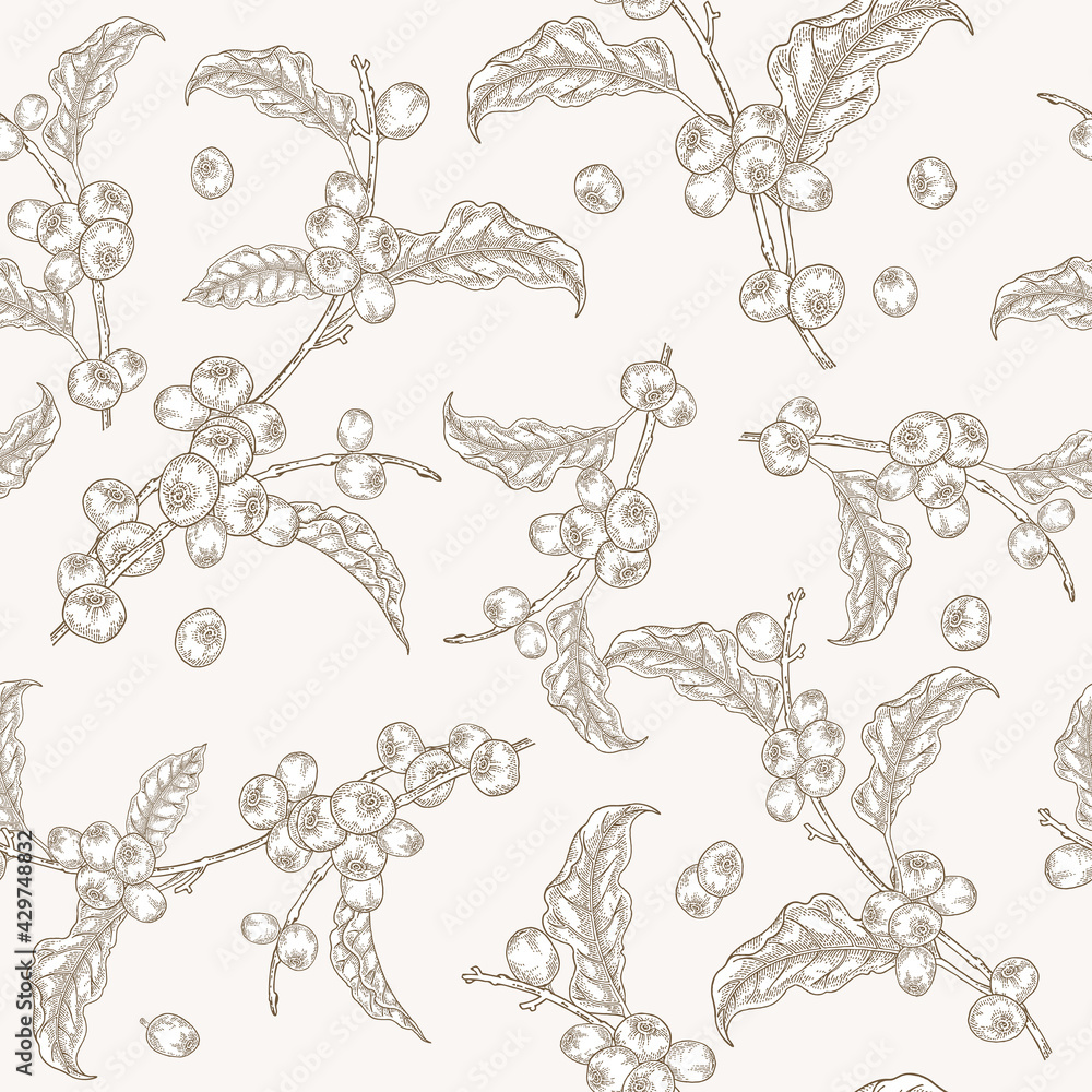 Seamless pattern with coffee. Coffe tree branches with leaves and coffee beans. Vector illustration. Hand drawn. Seamless pattern with coffee. Coffe tree branches with leaves and coffee beans. Vector illustration. Hand drawn.