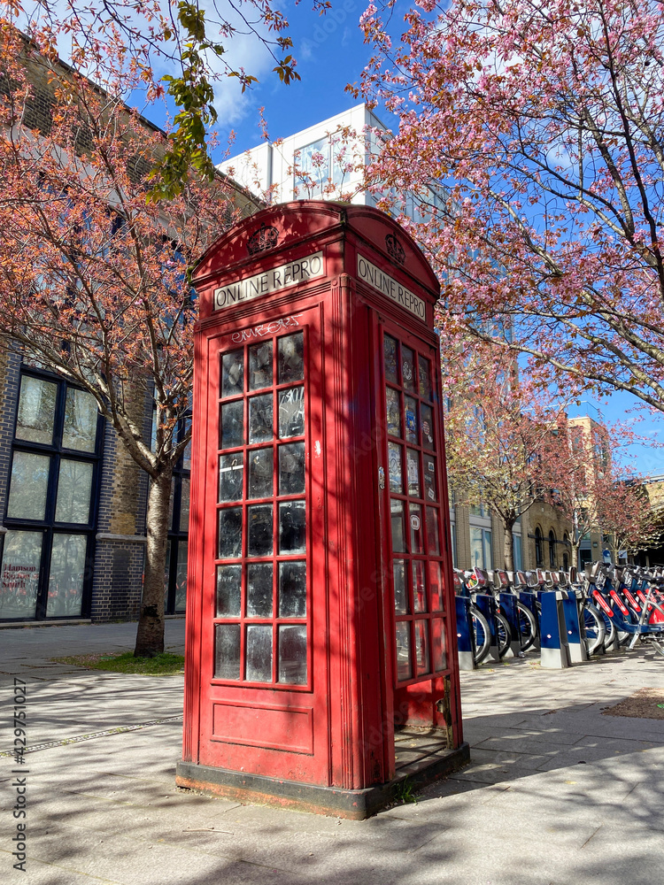 Obraz premium Red Phone Box with Spring Blossoms