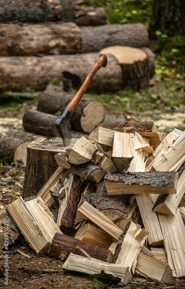 An old axe with a wooden handle, stuck in a tree in the forest, harvesting firewood An old axe with a wooden handle, stuck in a tree in the forest, harvesting firewood