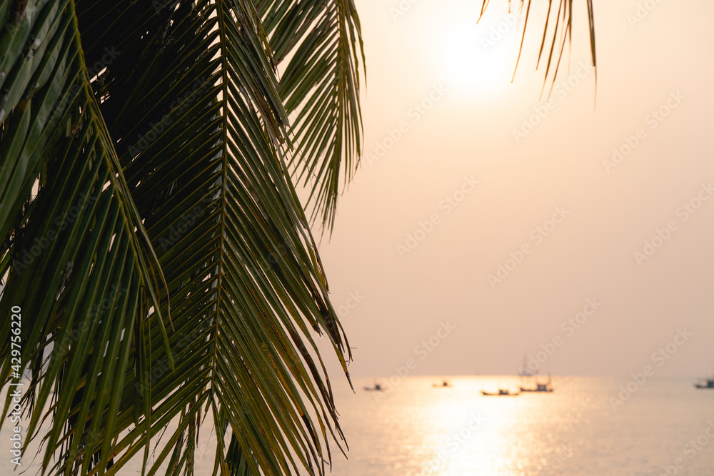 Fototapeta premium Sunset over the sea with Coconut palm tree on the tropical beach and orange pastel sky.