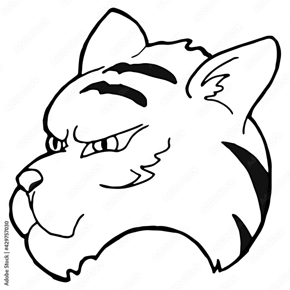 Cartoon striped tiger. Printing for children's T-shirts, greeting cards, posters. Hand-drawn vector illustration isolated on a white. Cartoon striped tiger. Printing for children's T-shirts, greeting cards, posters. Hand-drawn vector illustration isolated on a white.