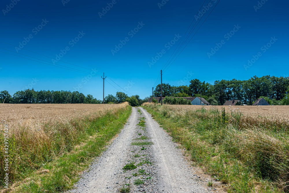 Beautiful countryside near Zvikov, in Czech Republic Beautiful countryside near Zvikov, in Czech Republic