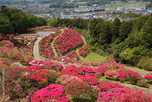 茨城 笠間 笠間つつじ公園の風景