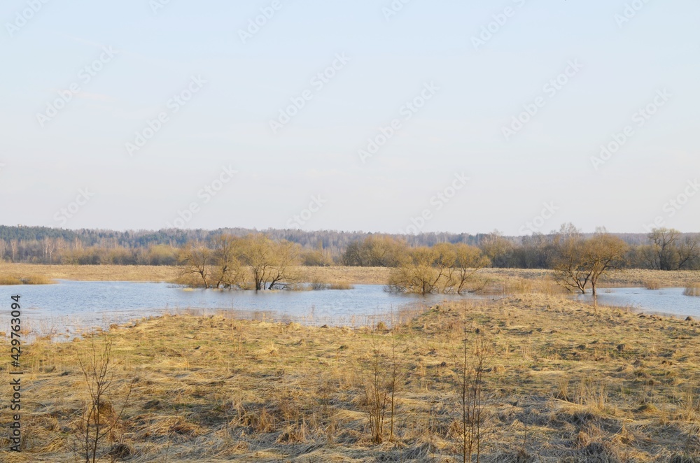 Lake in a spring Lake in a spring