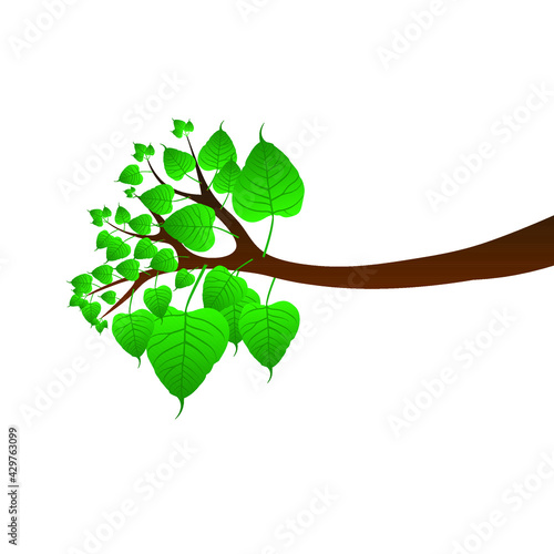 Obraz na plátne bo tree vector design ( vesak festival )