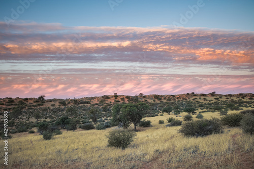 Sunrise in the Kalahari