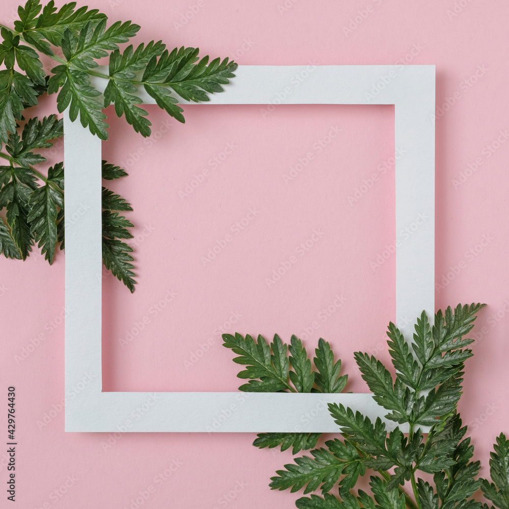 White frame on a pink pastel background with copy space for text or message - Green leaves decorate a party invitation or announcement White frame on a pink pastel background with copy space for text or message - Green leaves decorate a party invitation or announcement