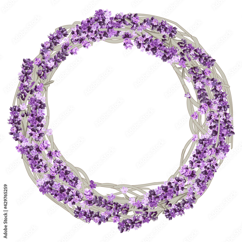vector image of a wreath of lavender twigs and flowers in purple flowers vector image of a wreath of lavender twigs and flowers in purple flowers