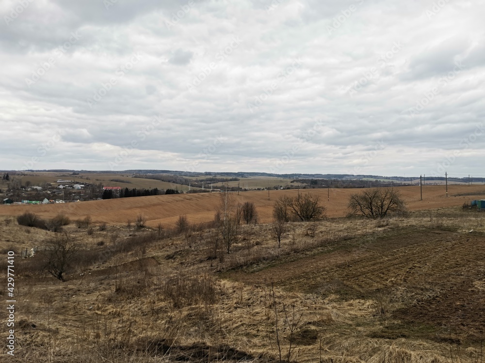 landscape with a tree