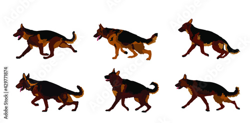 Portrait of German Shepherd running dog vector illustration isolated. Man's best friend. Lovely pet. Dog show exhibition. Finder detect explosives and drugs. Rescue finding dog. Smart animal.