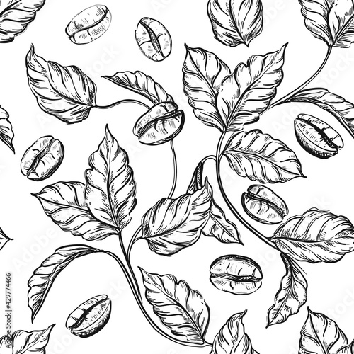 Hand drawn floral seamless pattern black and white of coffee beans, branch, leaf. Vector illustration. Elements in graphic style label, sticker, menu, package.